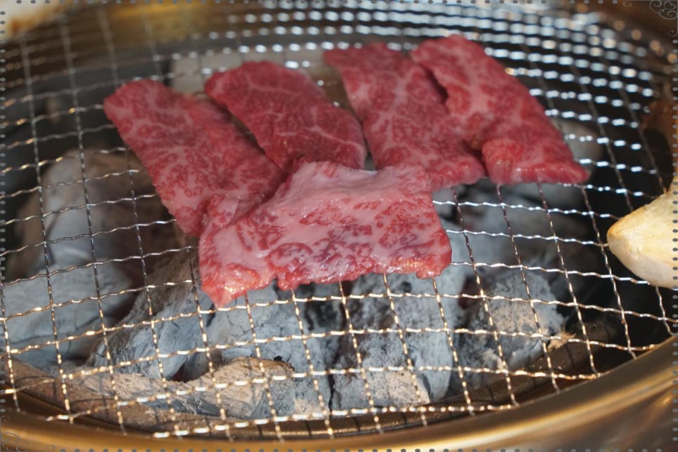 짝갈빗 이미지