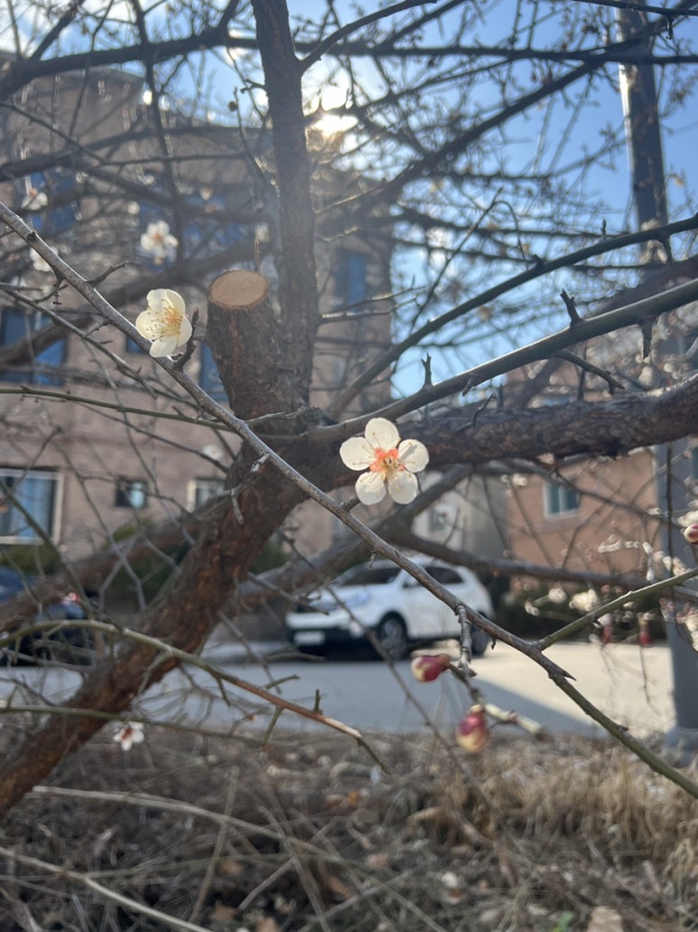 포트캔커피춘천석사점 이미지
