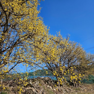 (주)용궁 이미지