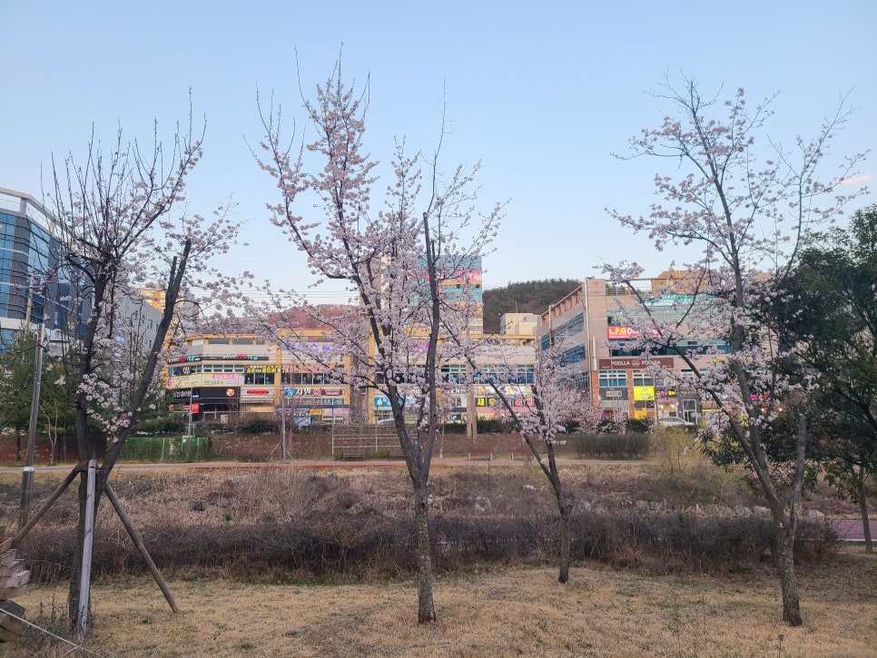 제우스주유소 이미지