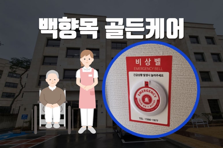백향목골든케어 이미지