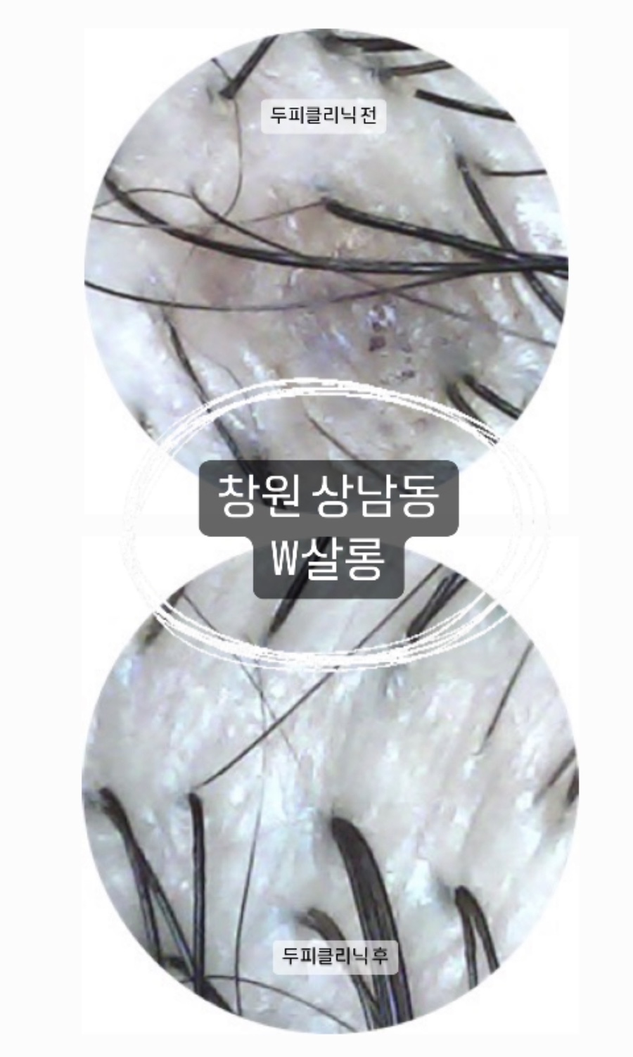 쩡이쌀롱 이미지