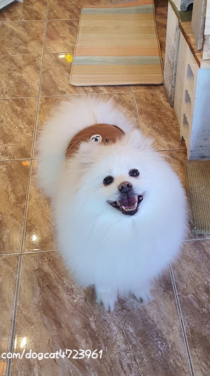 나랑놀자! 이미지