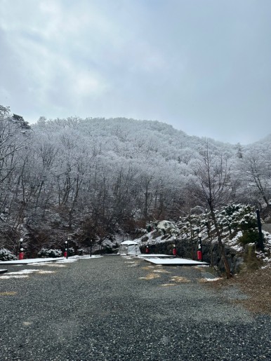 알프스캠핑 이미지