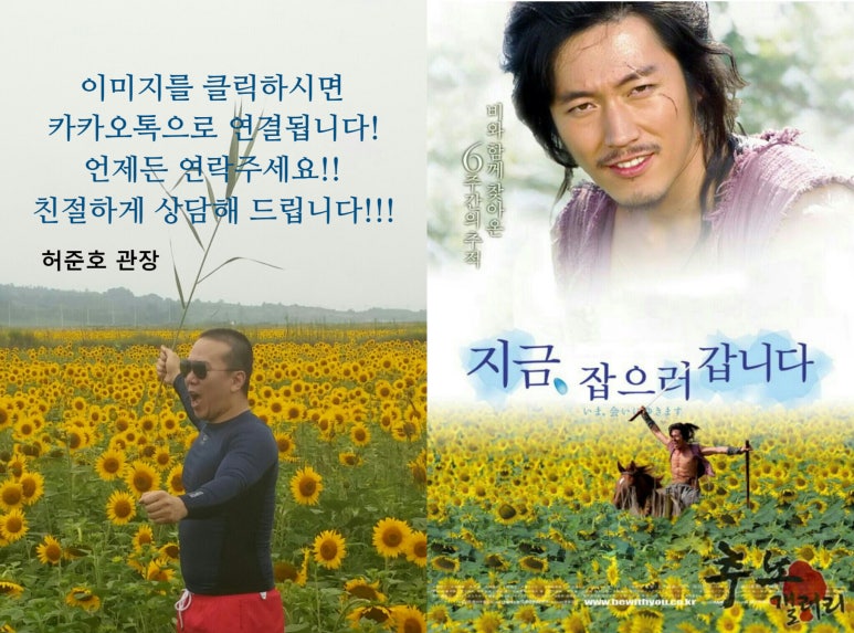 돼식가 이미지