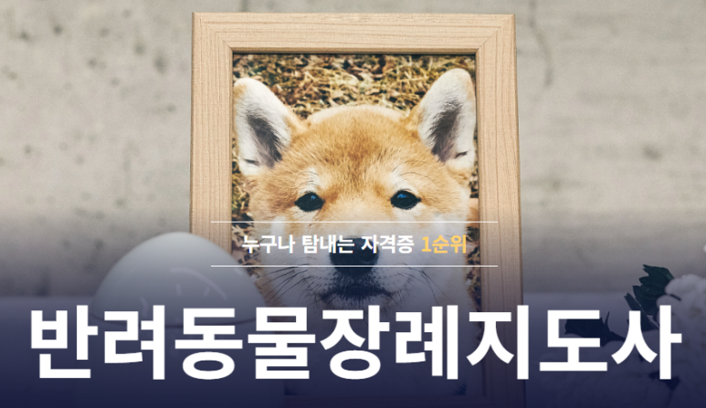 한국반려동물교육원 이미지
