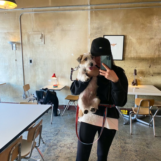 고모바일 이미지