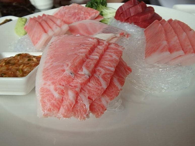 참치말자 이미지