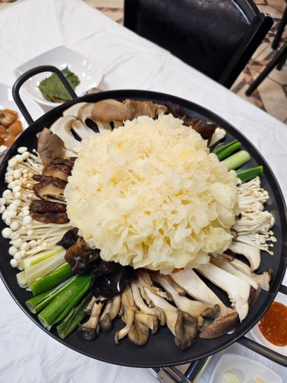다 오리 이미지