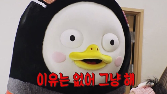 찬스짐 이미지
