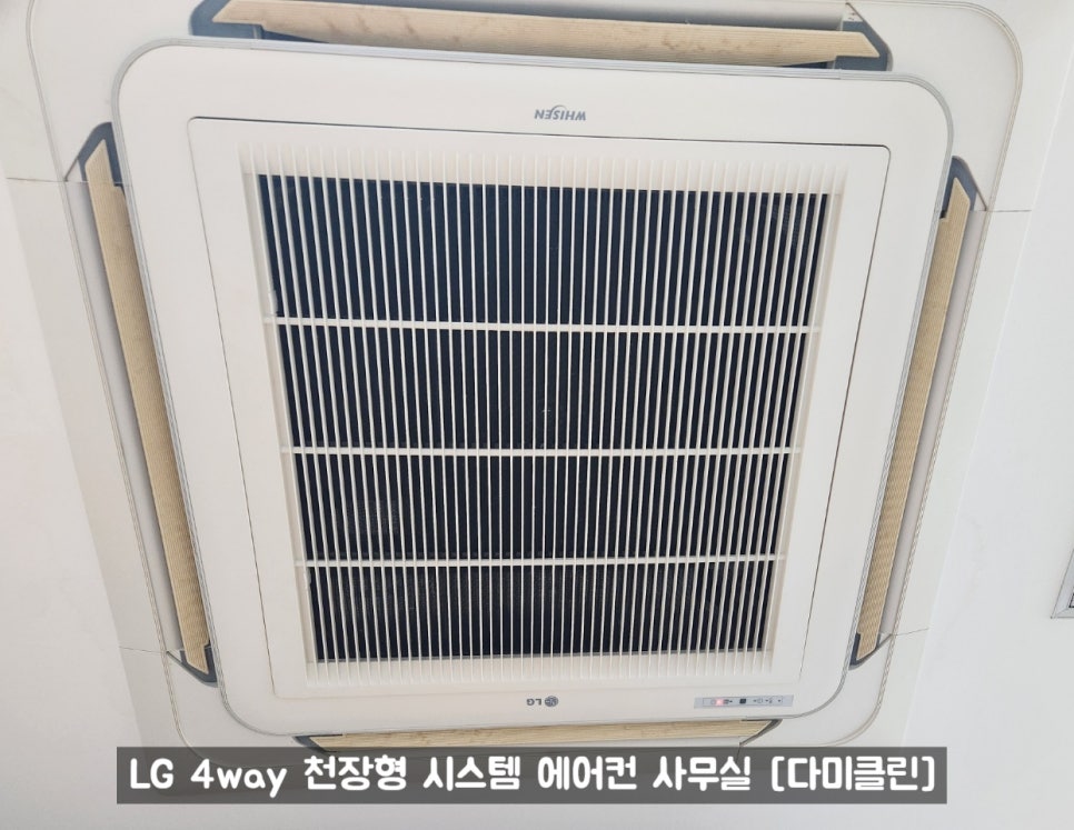 다미클린 이미지