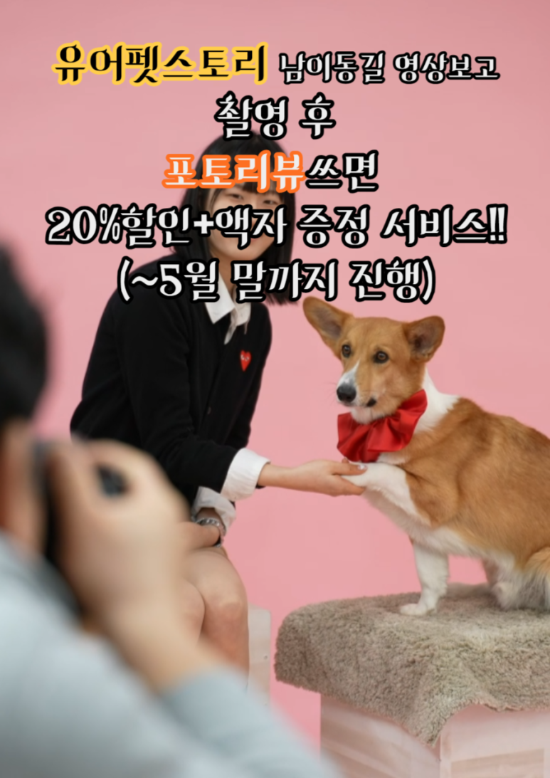 유어펫스토리 이미지