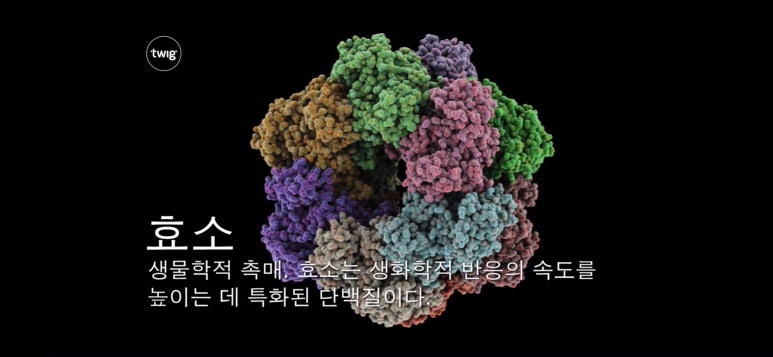 네이처플럽 이미지