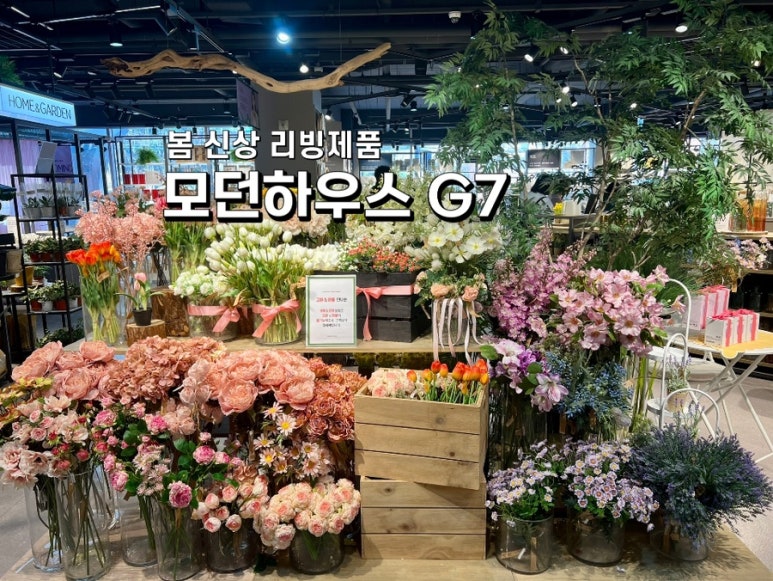 모던구미G7 이미지
