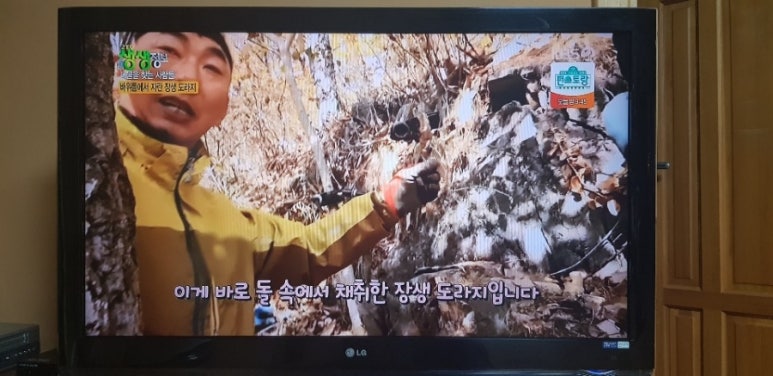 장생산약초 이미지