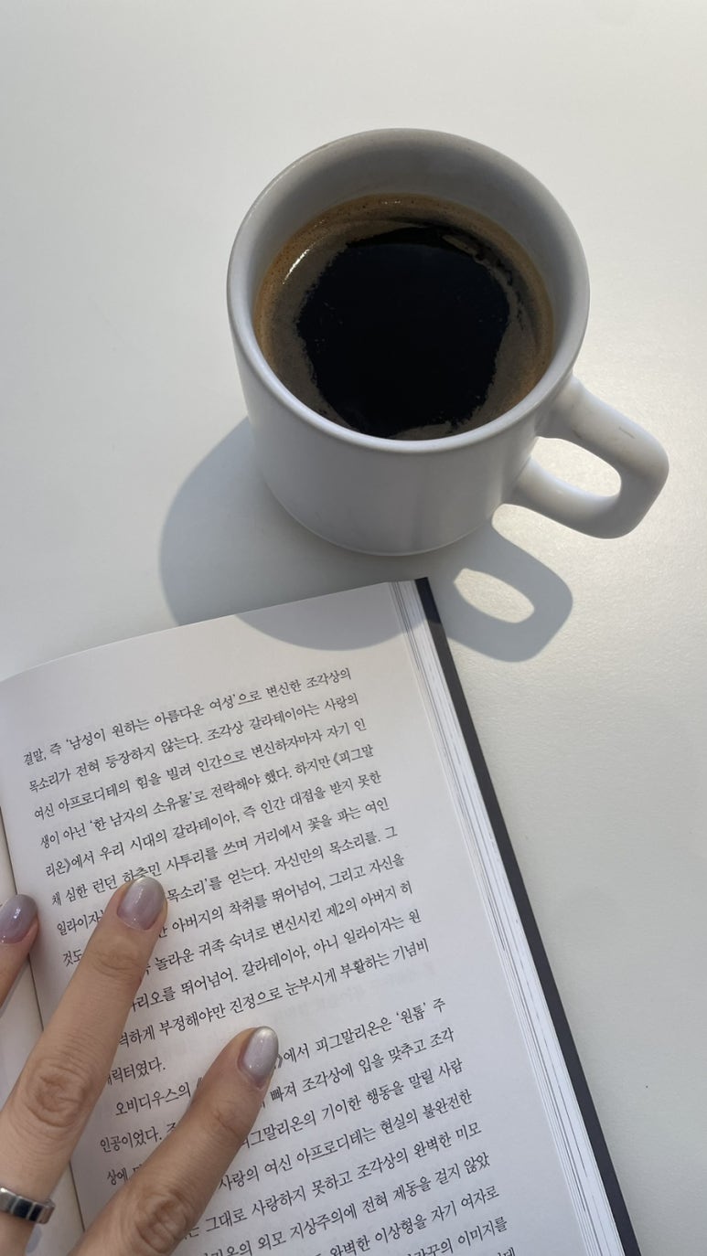 보보스인파라다이스 이미지