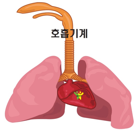 고잔 요양보호사교육원 이미지