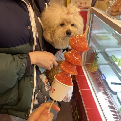 네일온제 이미지