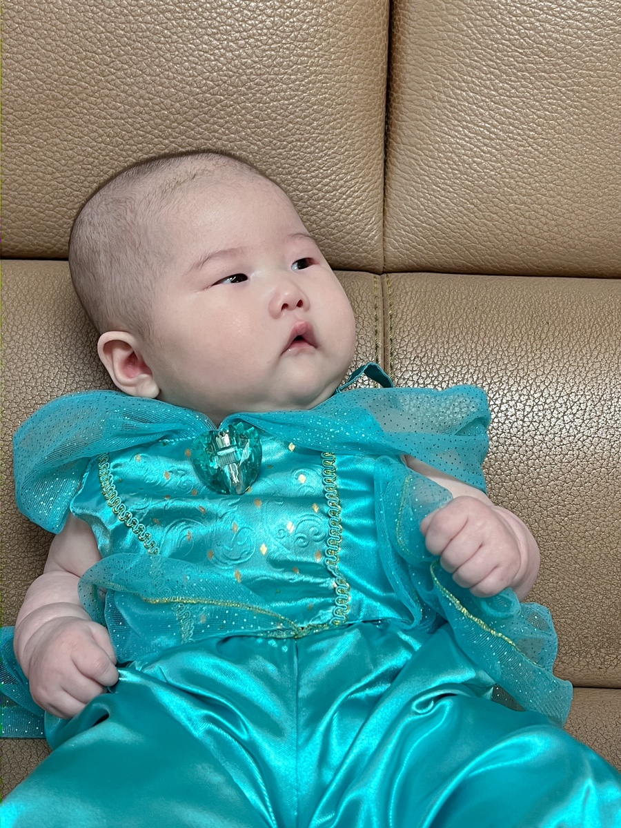 샤스민 이미지