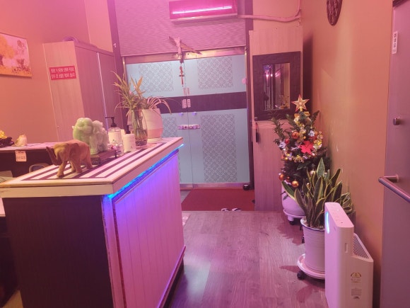 금손풋샵 이미지