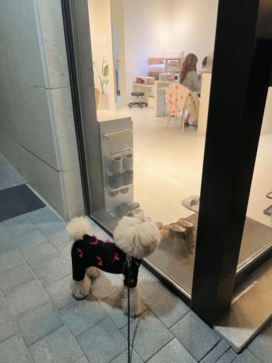 네일온제 이미지