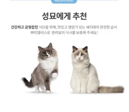 쁘띠델리 이미지
