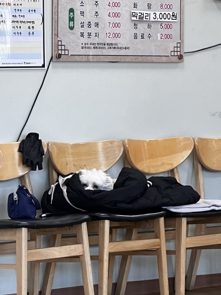 성주한우축산프라자 이미지