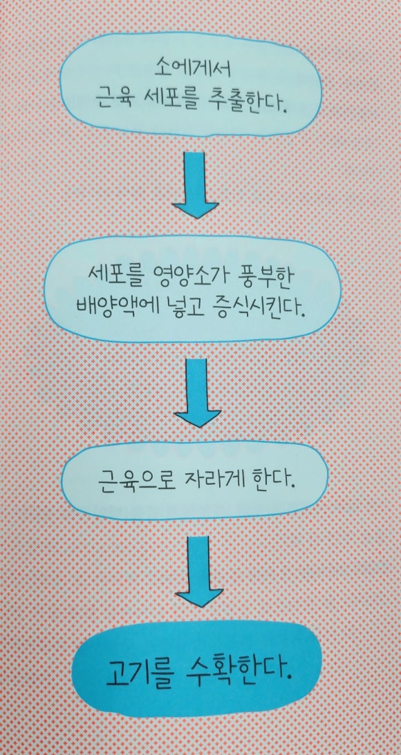 미래클린 이미지
