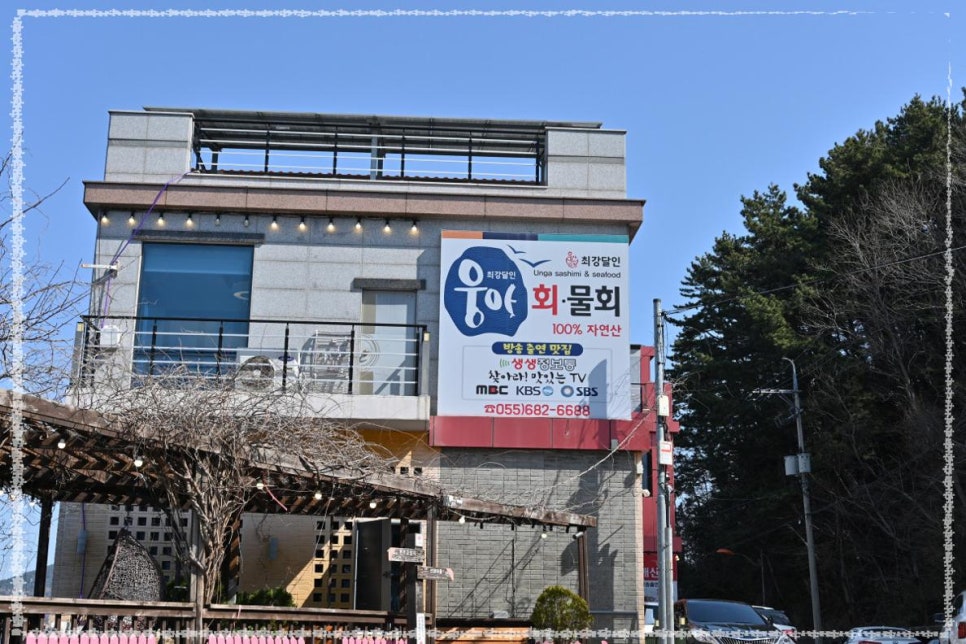 싱싱물회 이미지