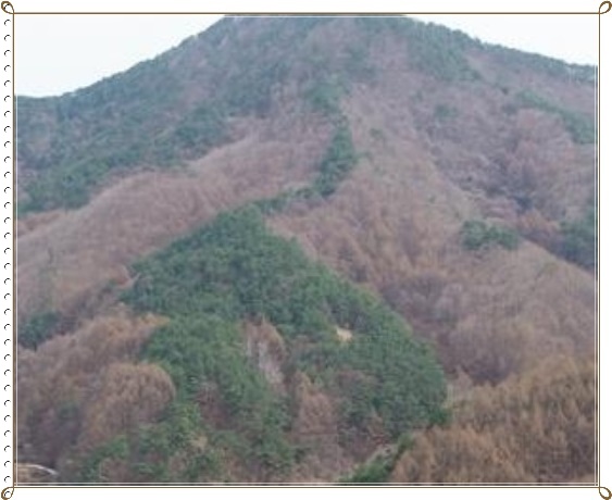 사일산 이미지