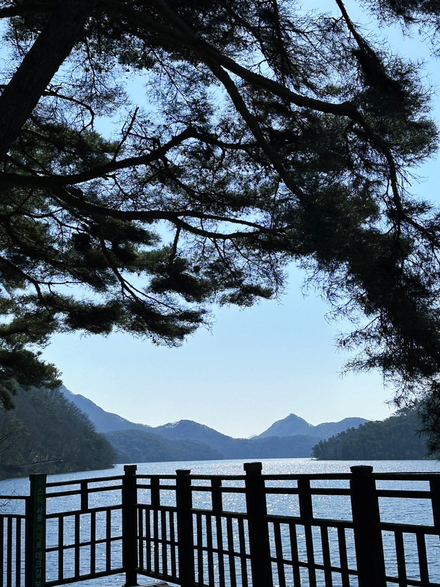 글리제977 이미지