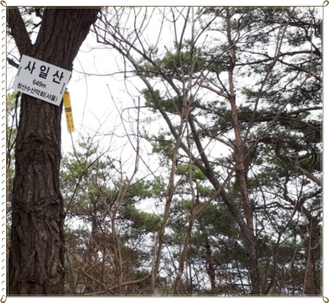 사일산 이미지