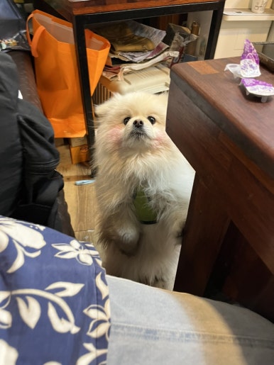 자매랑양곱창 이미지
