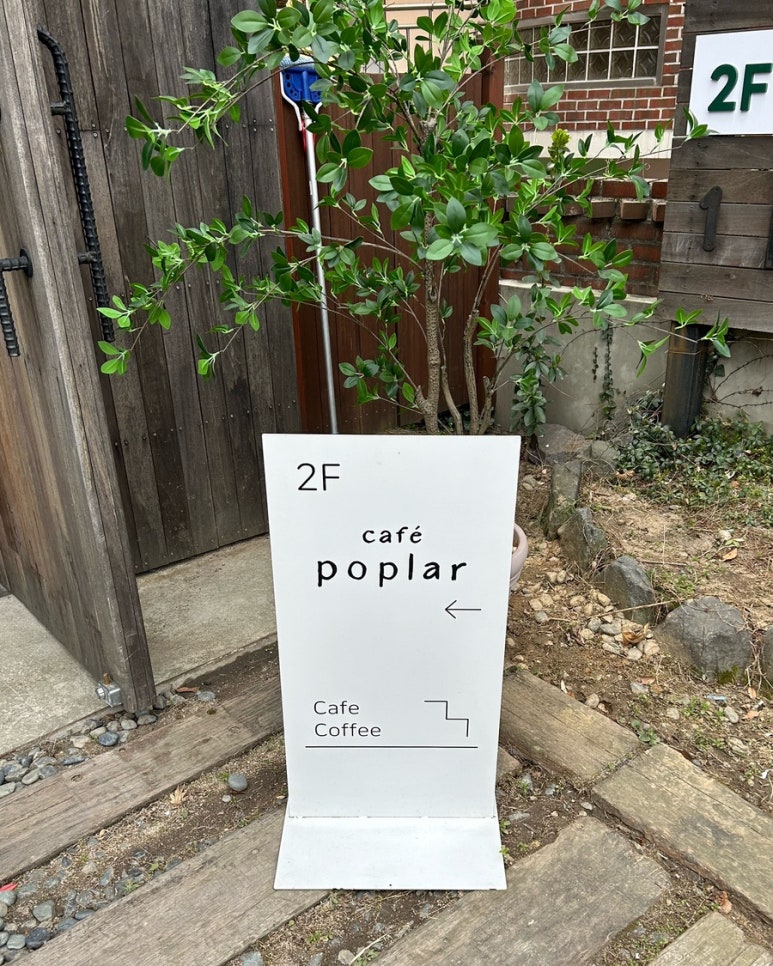 포플러(poplar) 이미지