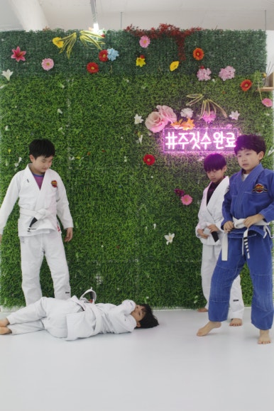 팀루츠 이미지