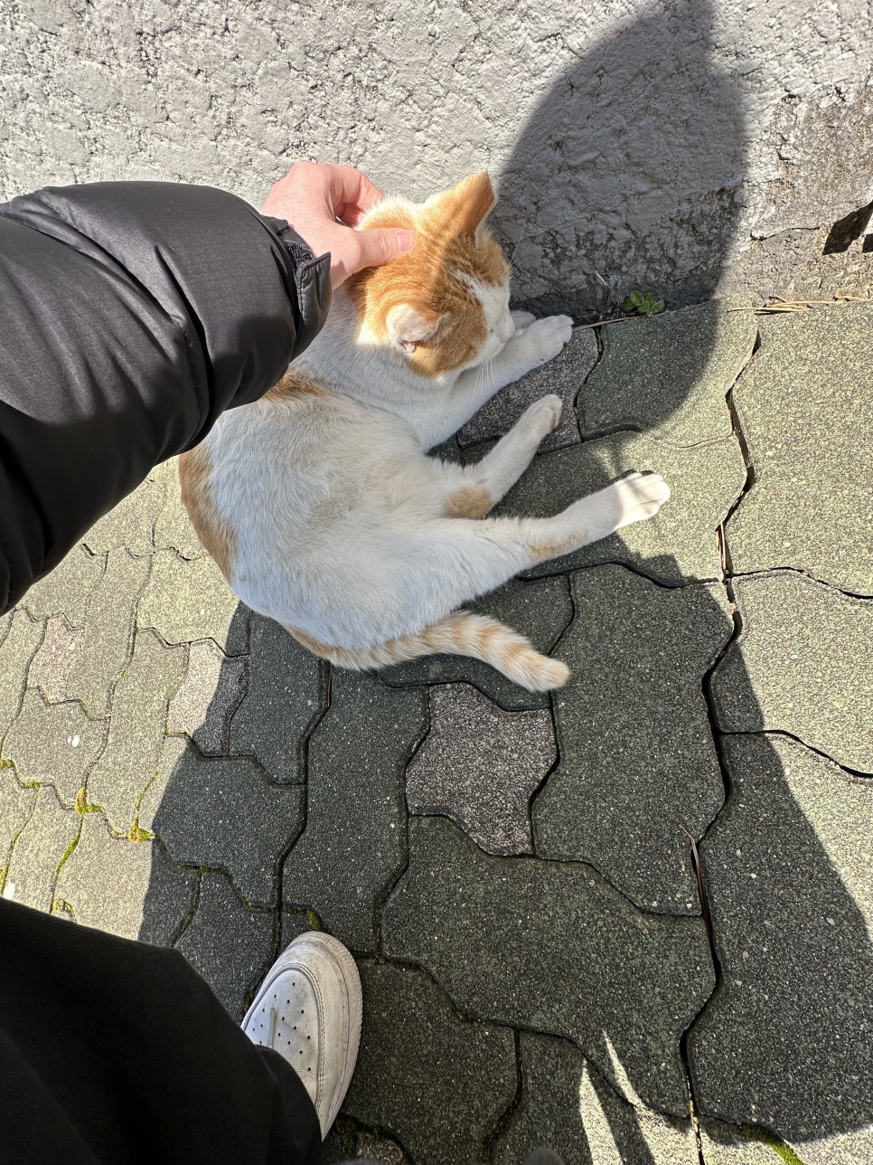 담해랑 이미지
