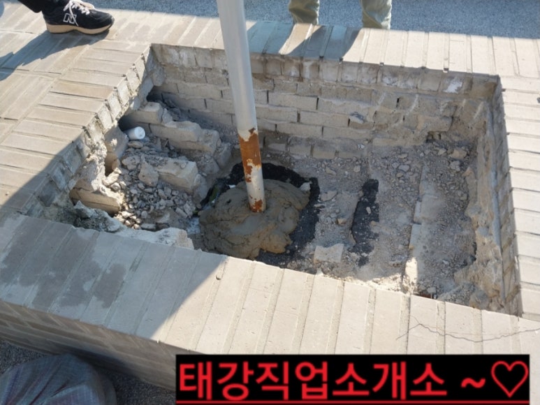 칼라직업소개소 이미지