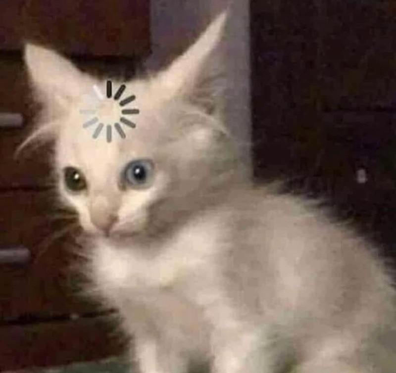 오타쿠 이미지
