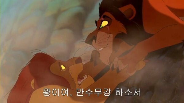 스튜디오100 이미지