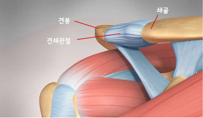 서울제일병원 이미지