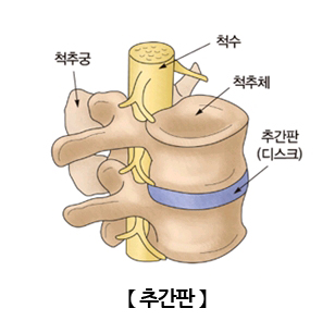 인모션재활트레이닝센터 이미지