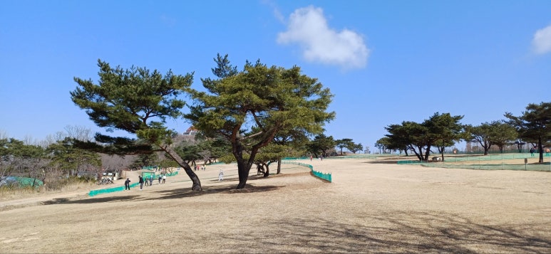 그린파크장 이미지
