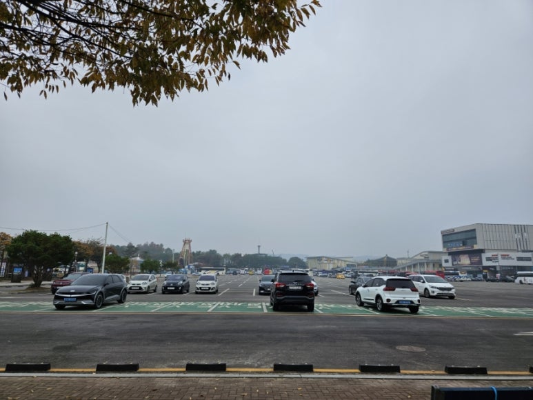 더포비 이미지