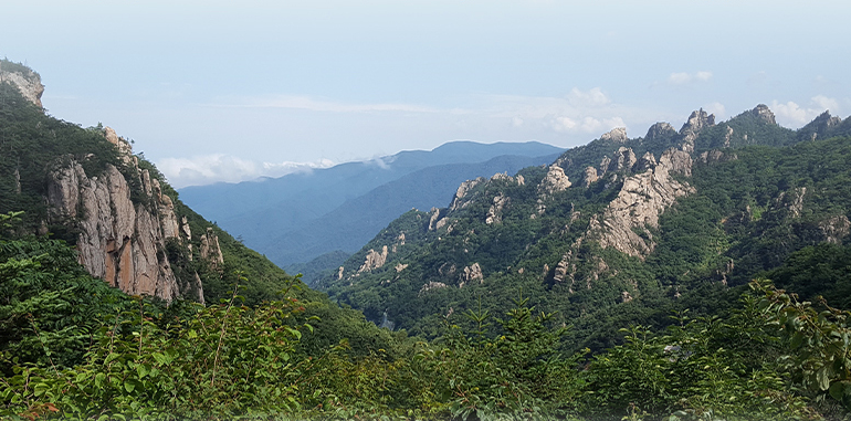 산골짜기 영농조합법인 이미지
