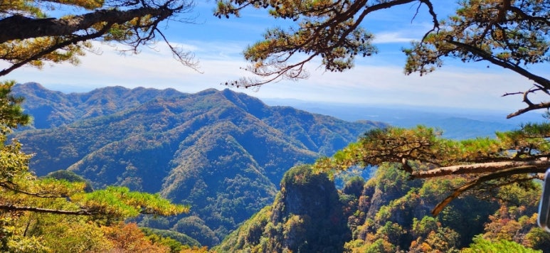 청량산오시오숯불식육식당 이미지