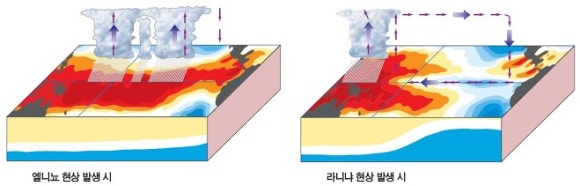 머큐리글로벌 이미지