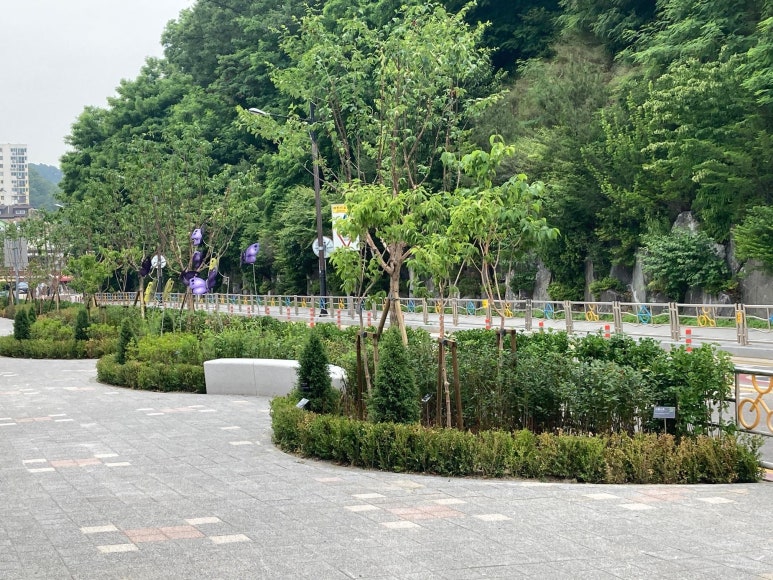 아르지오디바니 이미지