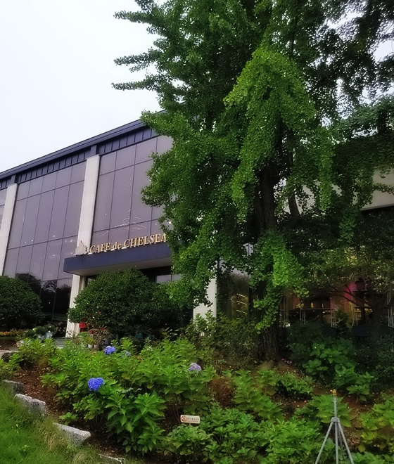 카페드첼시 이미지
