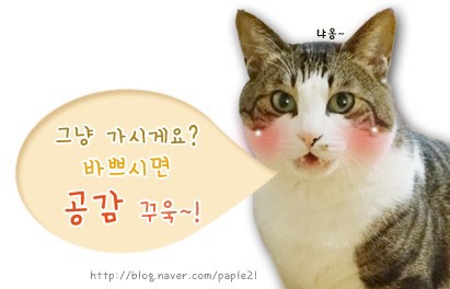 케이제이모바일 이미지
