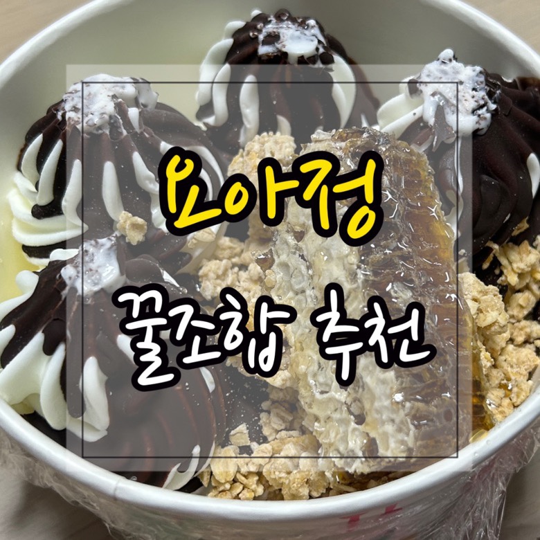 요거트아이스크림의정석 의정부점 이미지